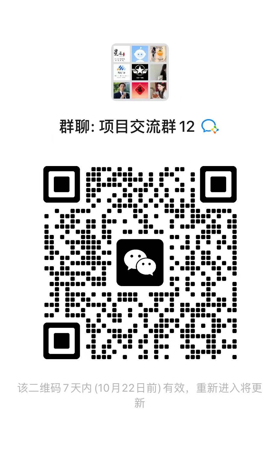 项目交流群 12