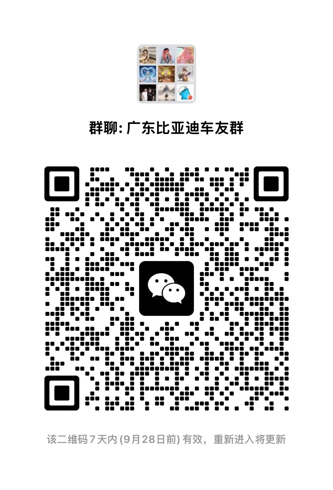 广东比亚迪车友群