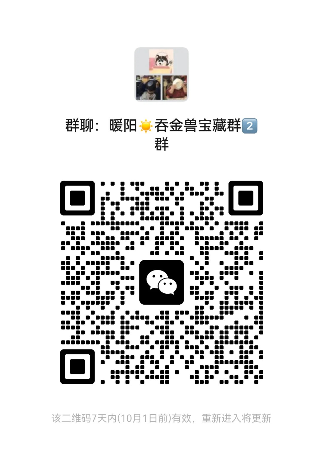 羊毛正品直播间