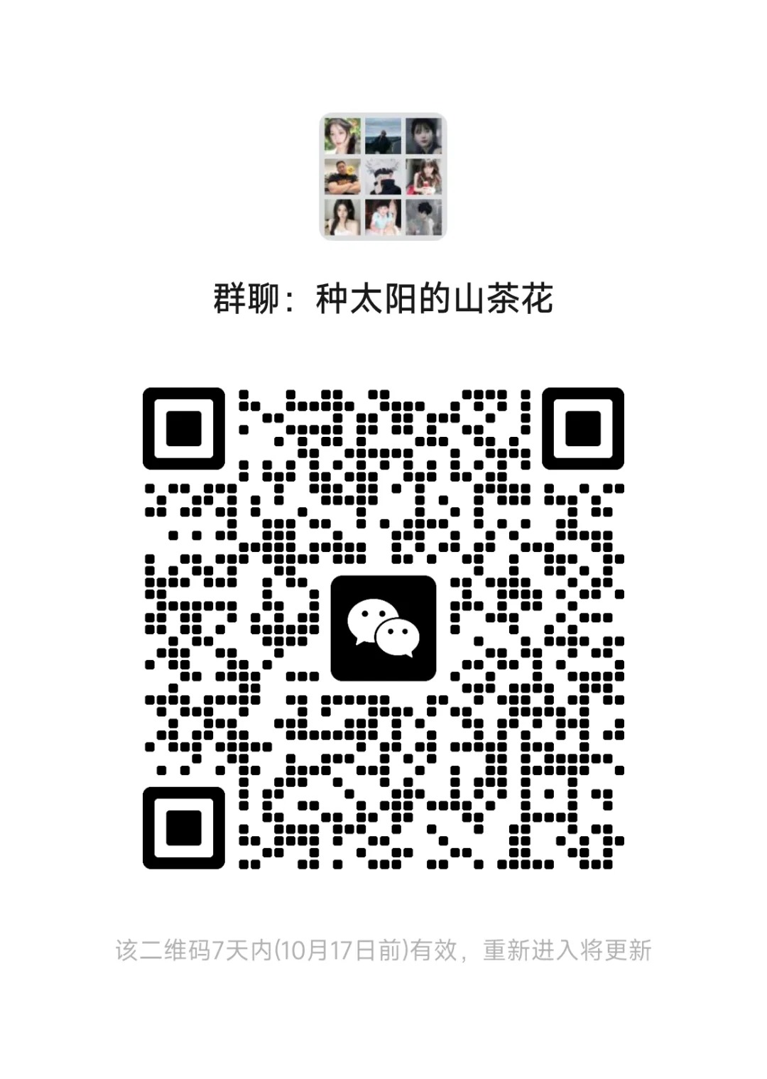 种太阳的山茶花