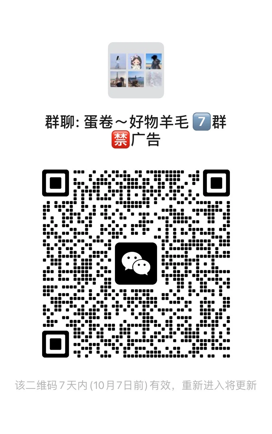 蛋卷~好物羊毛7群