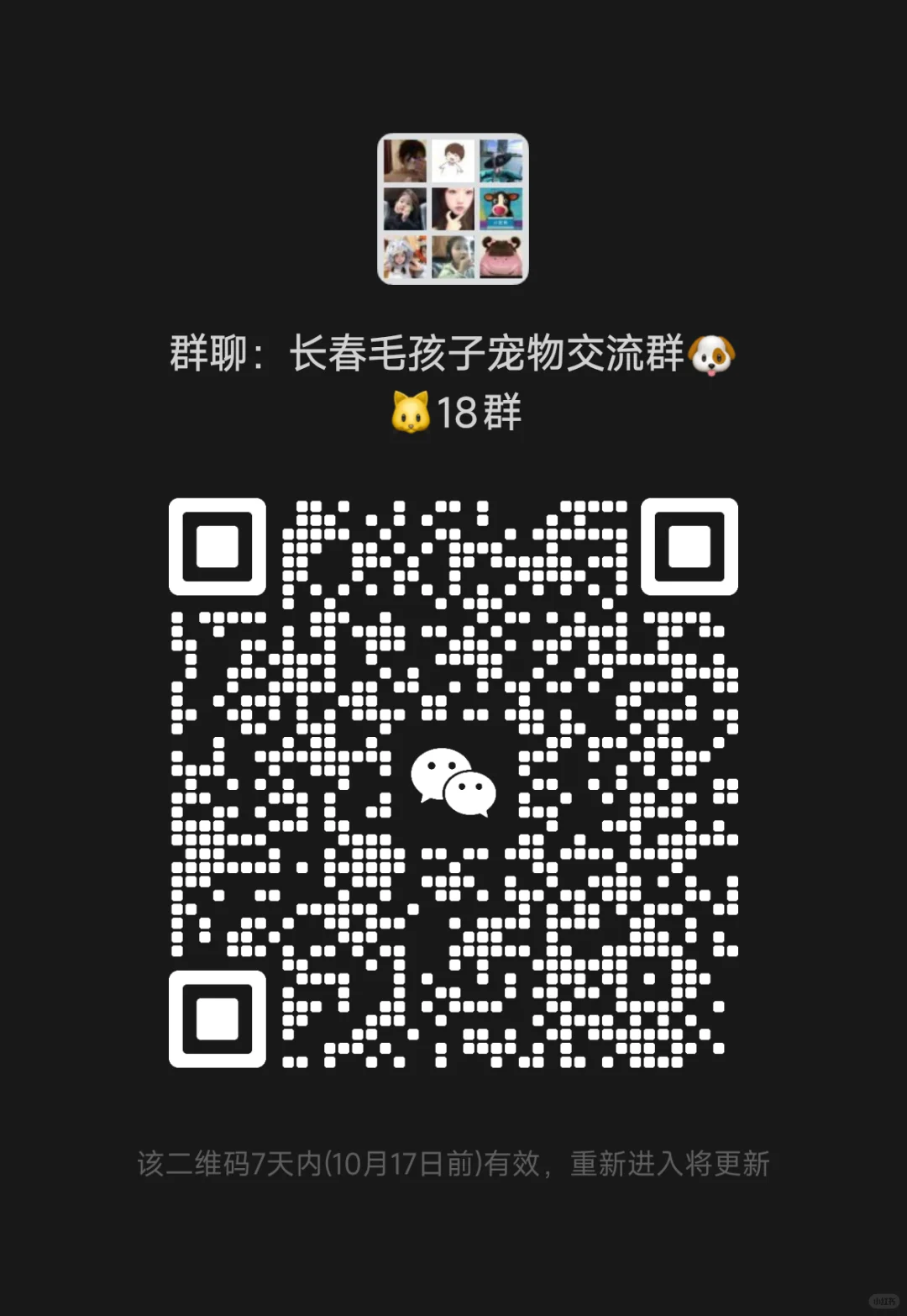 长春毛孩子宠物交流群8群