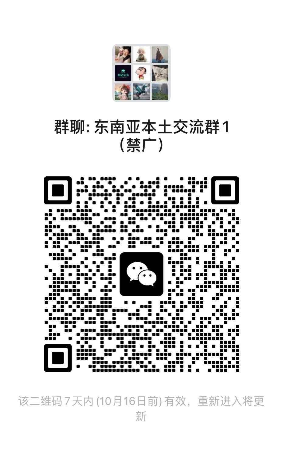 东南亚本土交流群