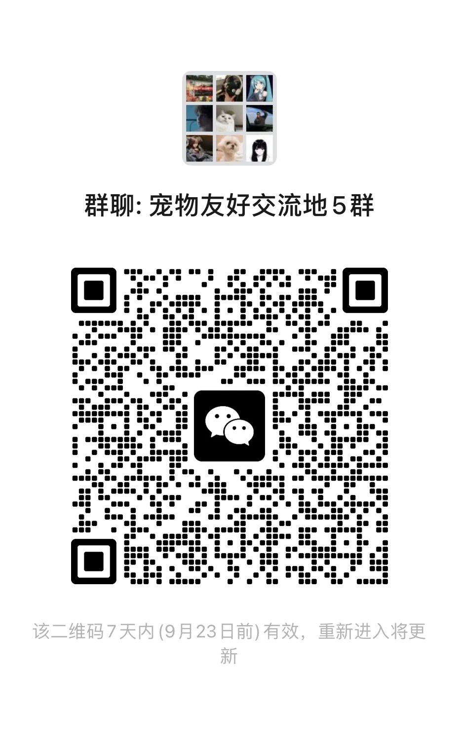 宠物友好交流地5群