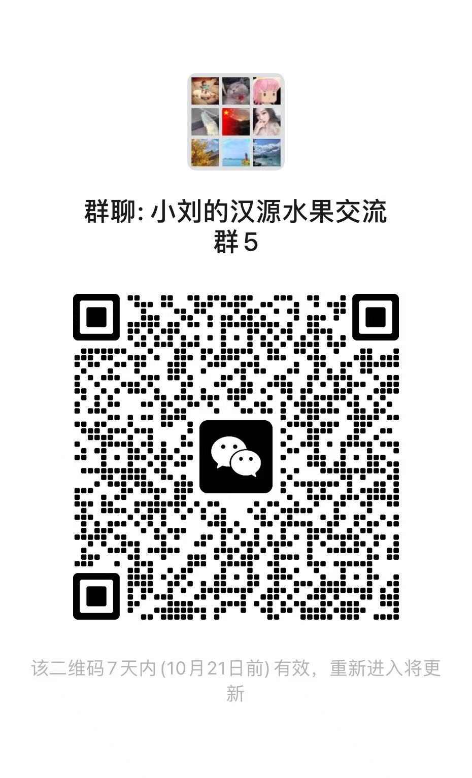 小刘的汉源水果交流群