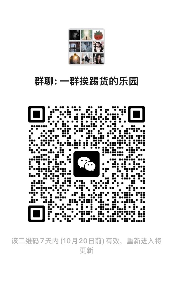 一群挨踢货的乐园