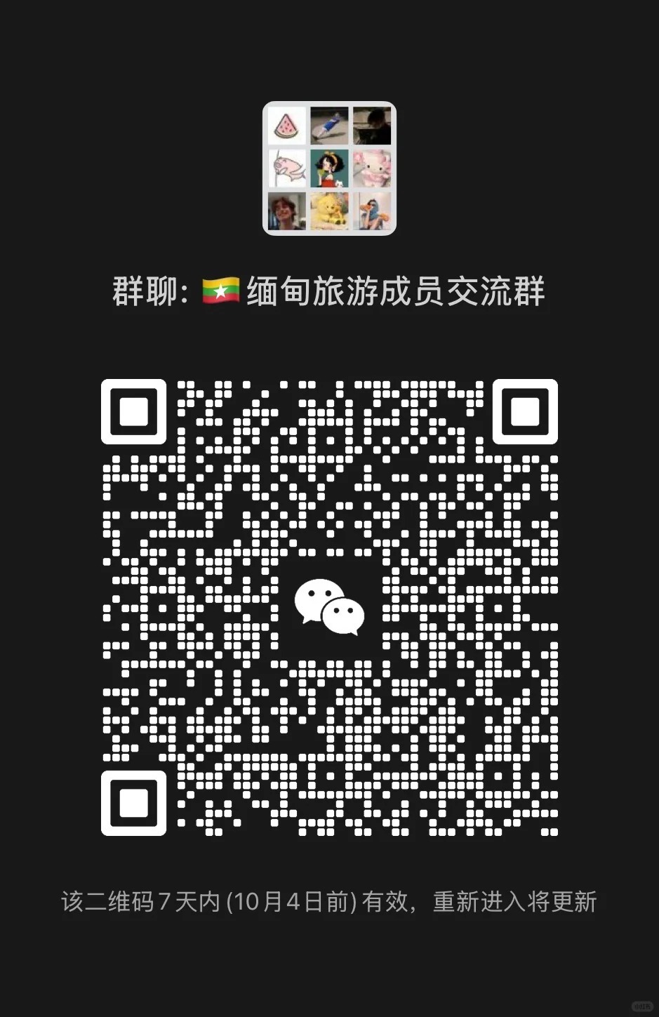 缅甸旅游成员交流群