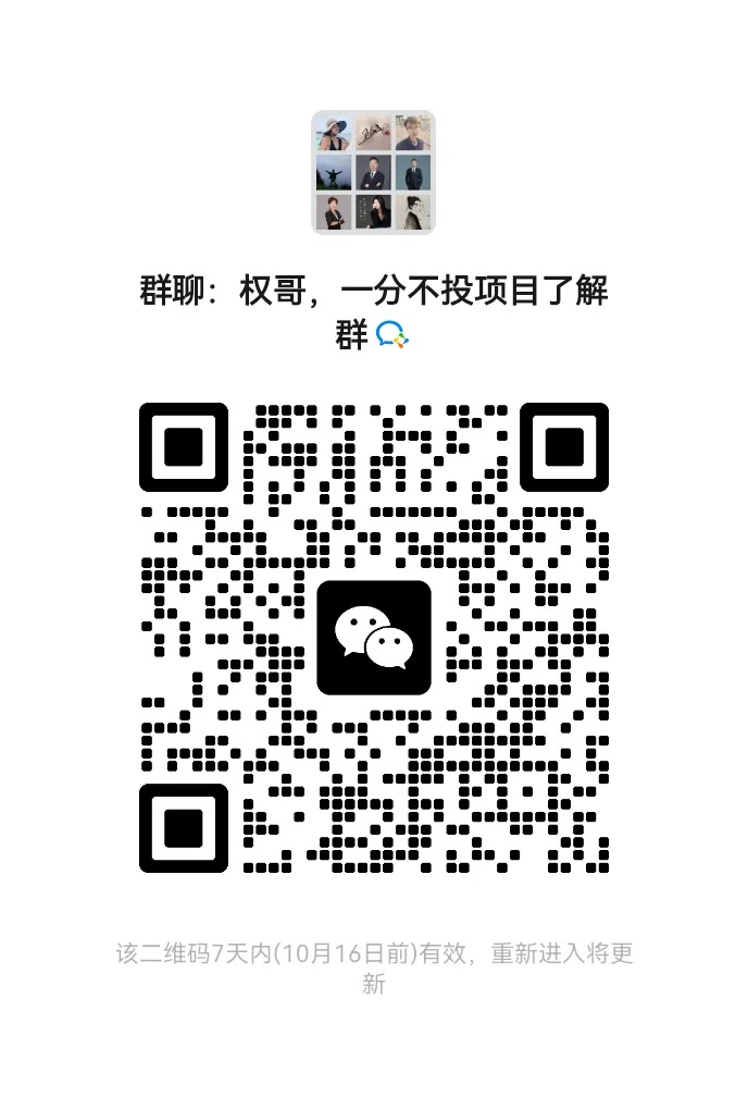 份不投项目了解群