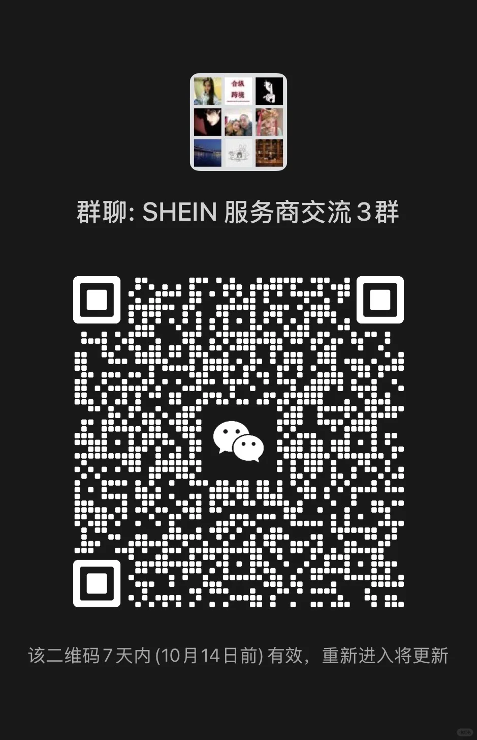 希音店铺 卖家 服务商交流 群