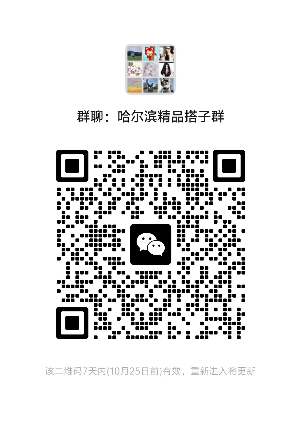 哈尔滨精品搭子群