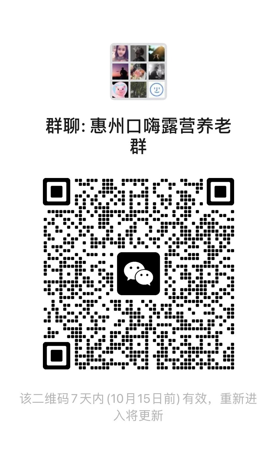 惠州口嗨露营养老群