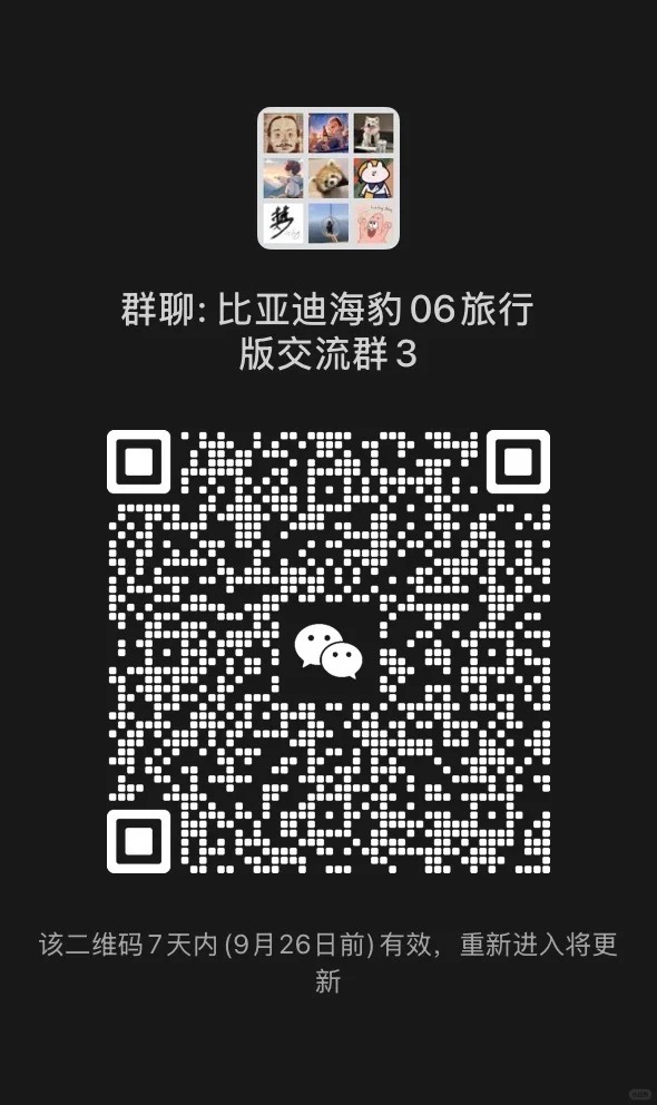 比亚迪海豹06dmi旅行版交流群