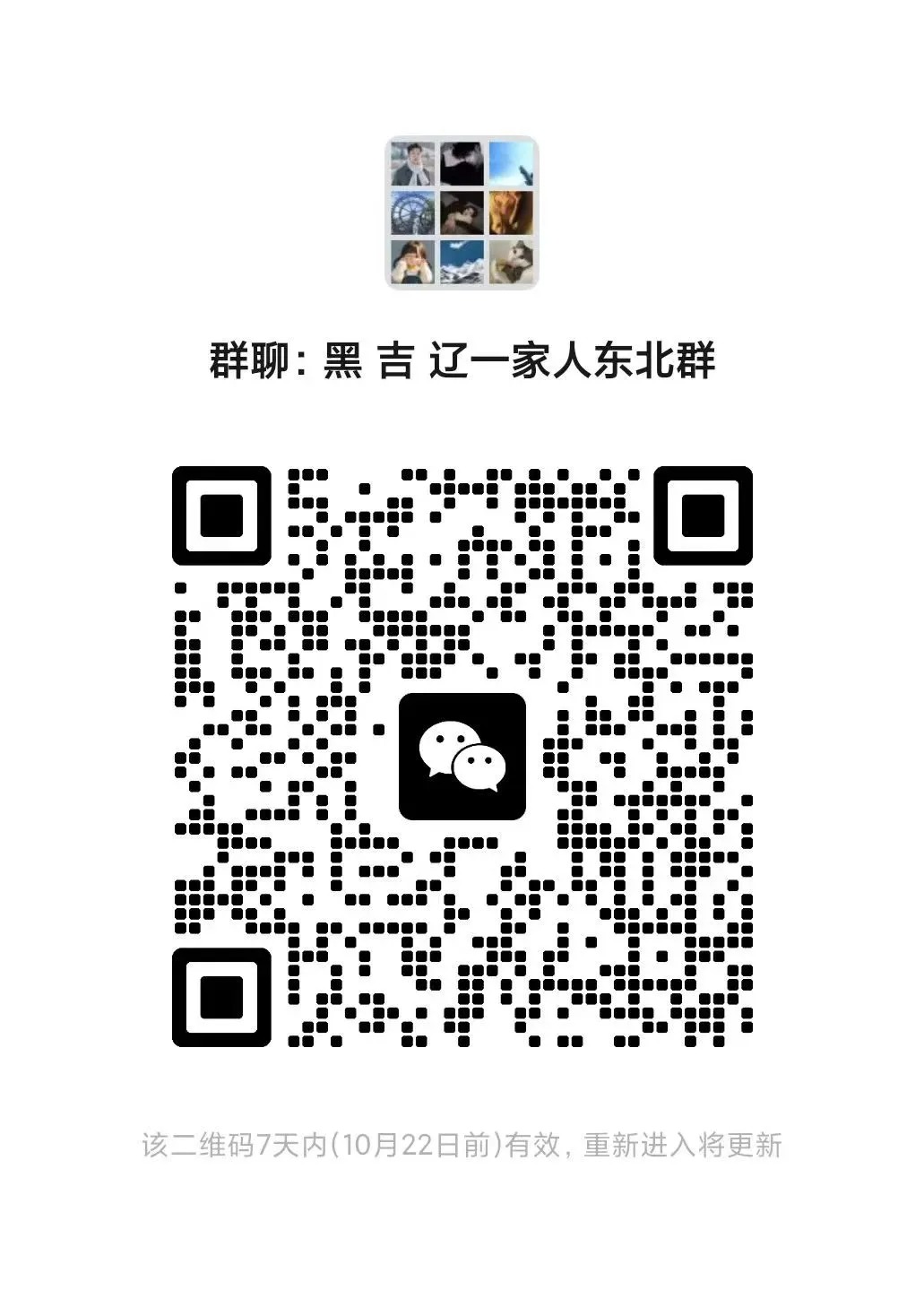 东北这旮瘩大型聊天群 欢乐东北人群