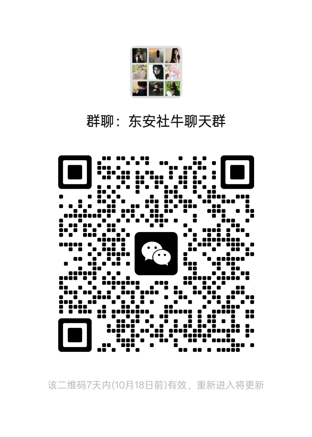 东安社牛聊天群