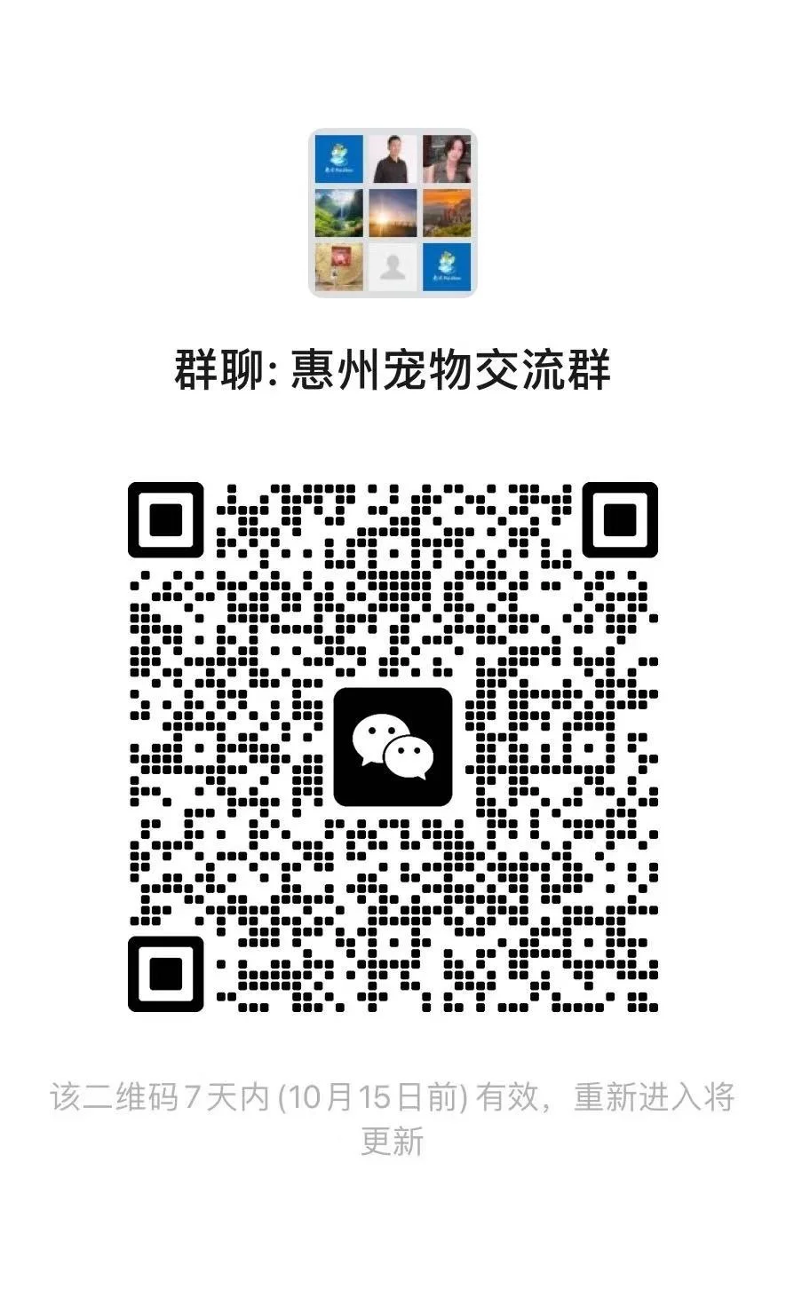 惠州宠物交流群