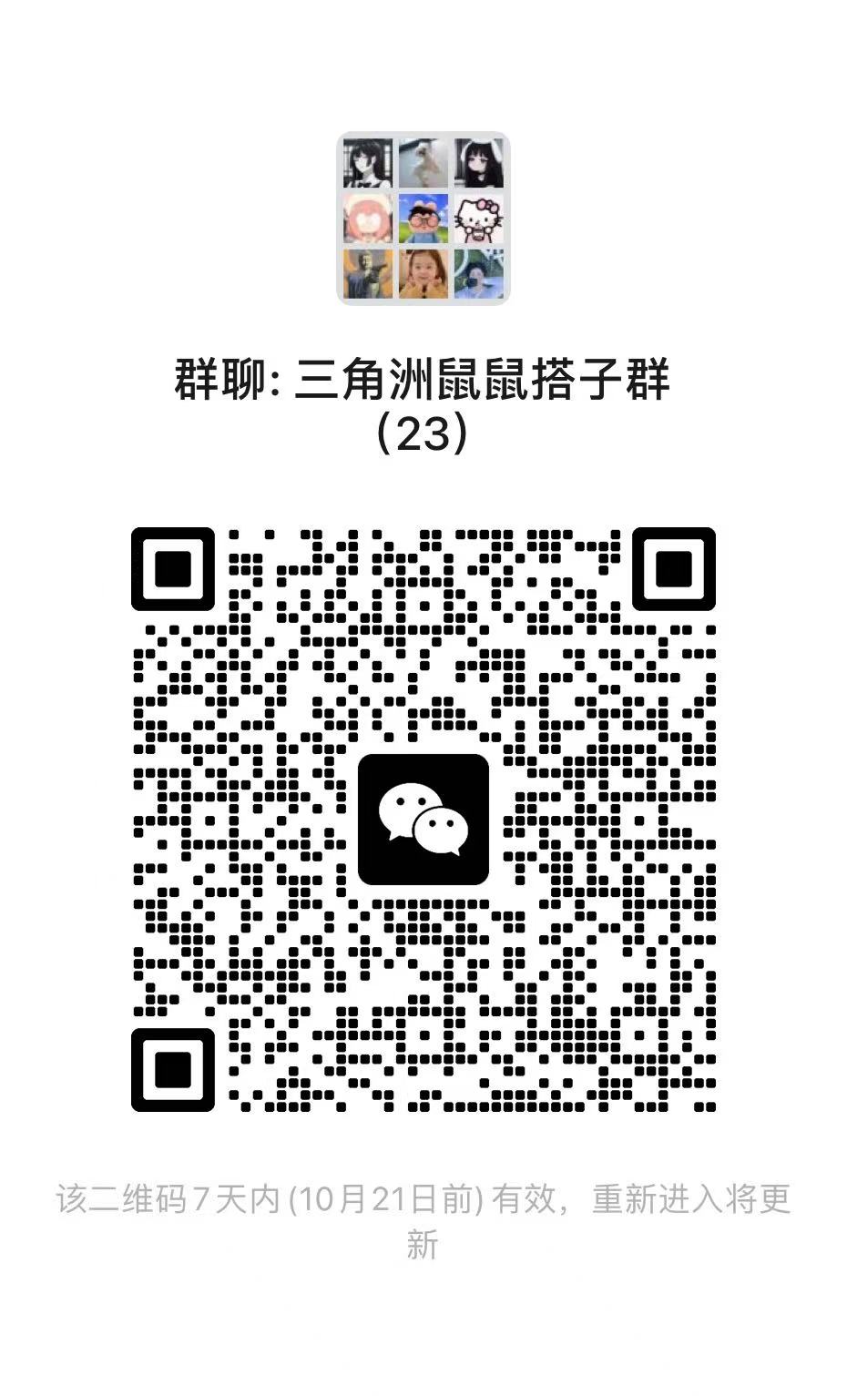 三角洲鼠鼠搭子