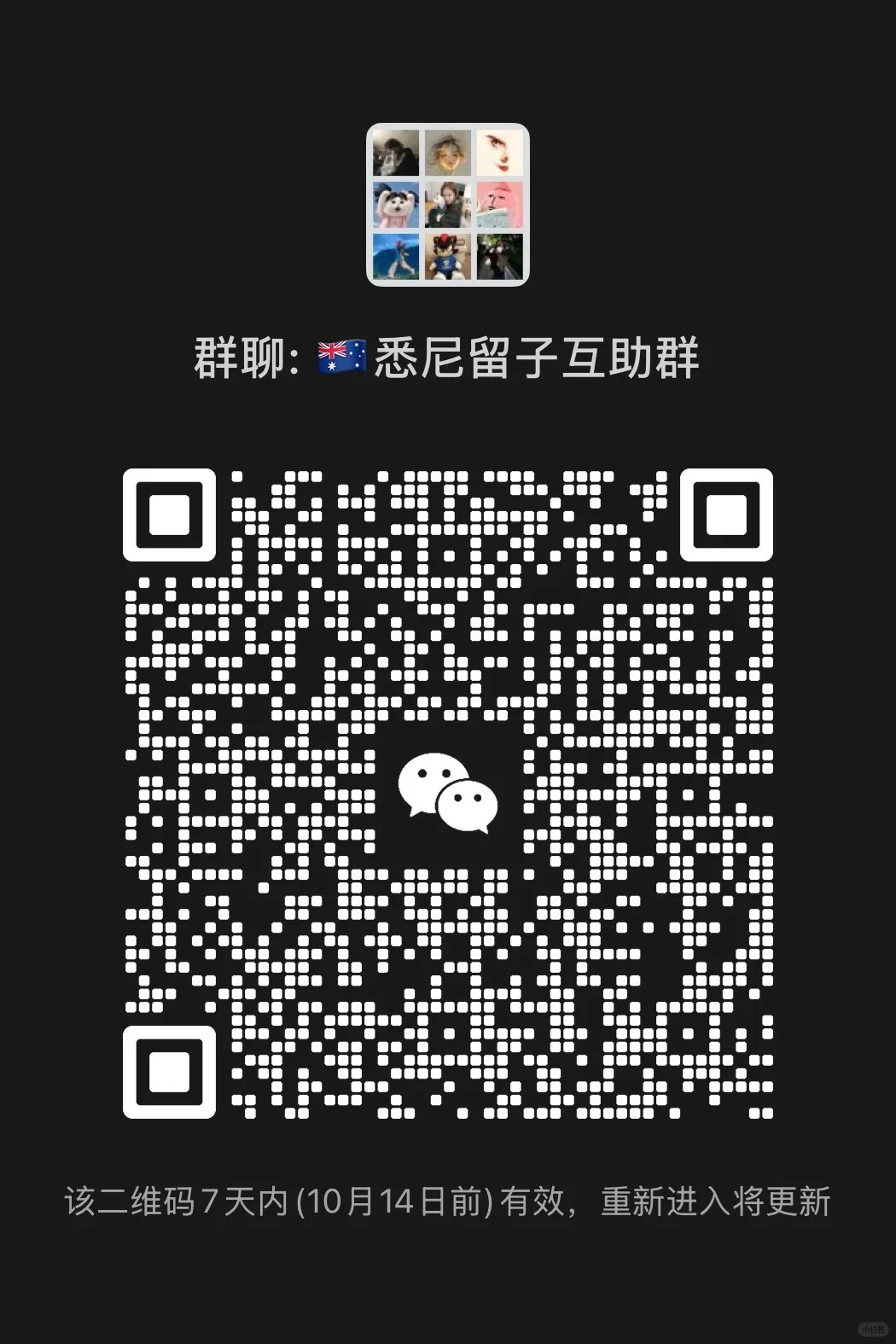 悉尼留子互助群