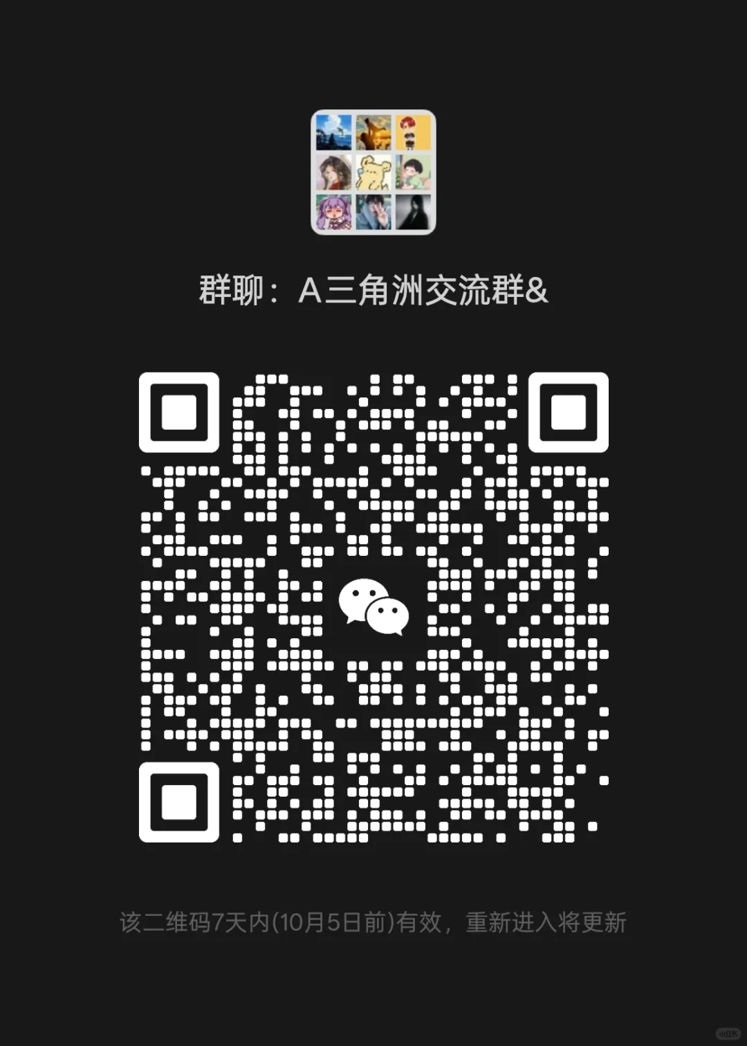 三角洲交流群/搭子群