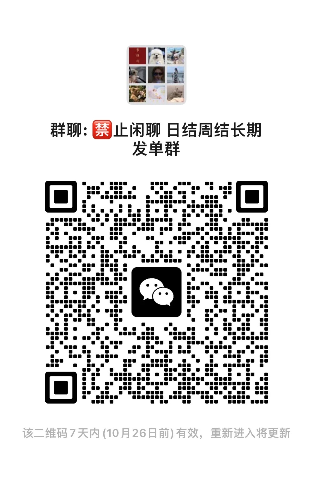 惠州日结周结微信群