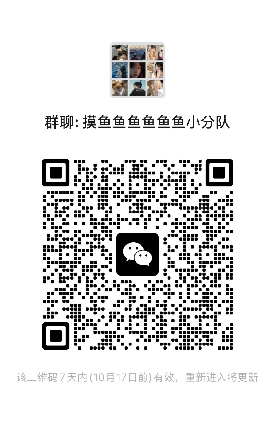 摸鱼鱼鱼鱼鱼鱼鱼鱼鱼鱼小分队