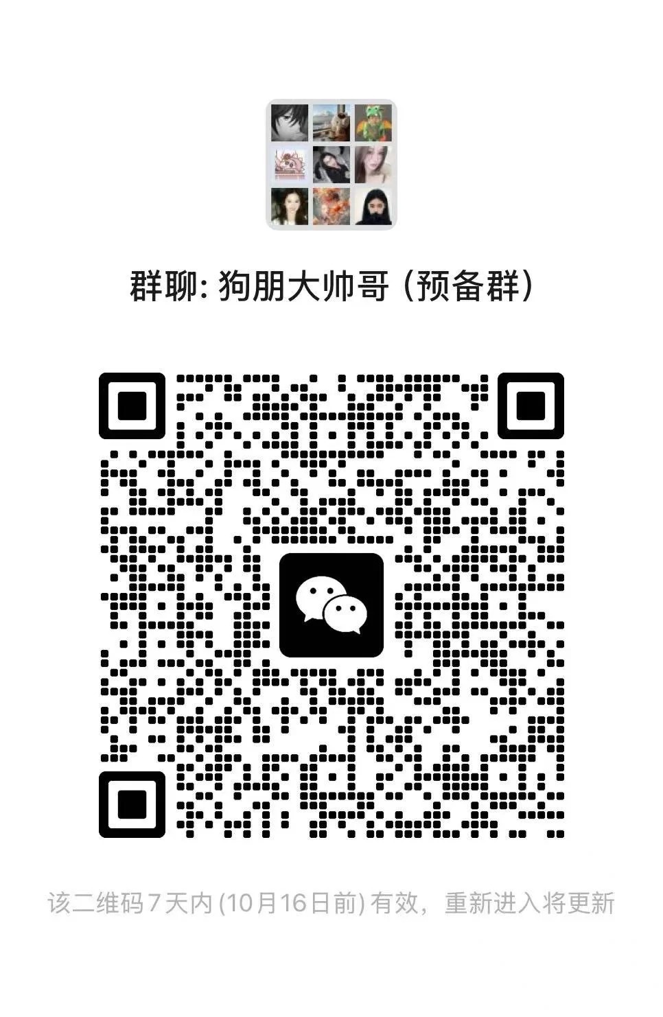 狗朋大帅哥（预备群）2