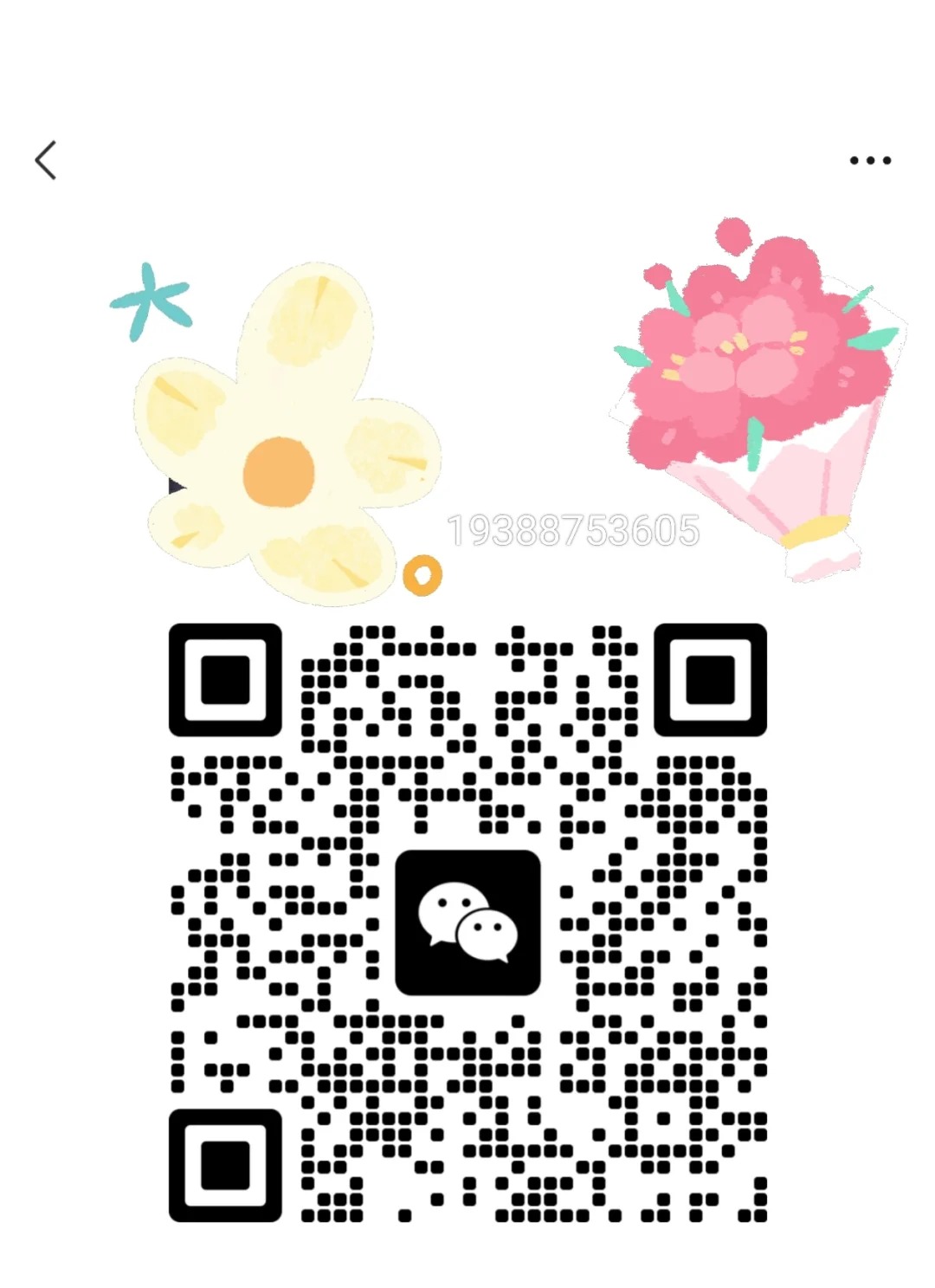 有没有纯分享的羊毛裙啊