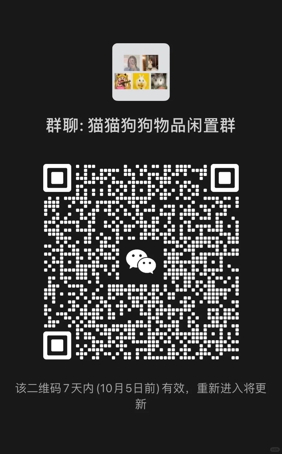 猫猫狗狗宠物用品闲置群